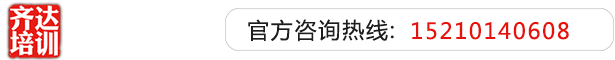 操逼试看齐达艺考文化课-艺术生文化课,艺术类文化课,艺考生文化课logo